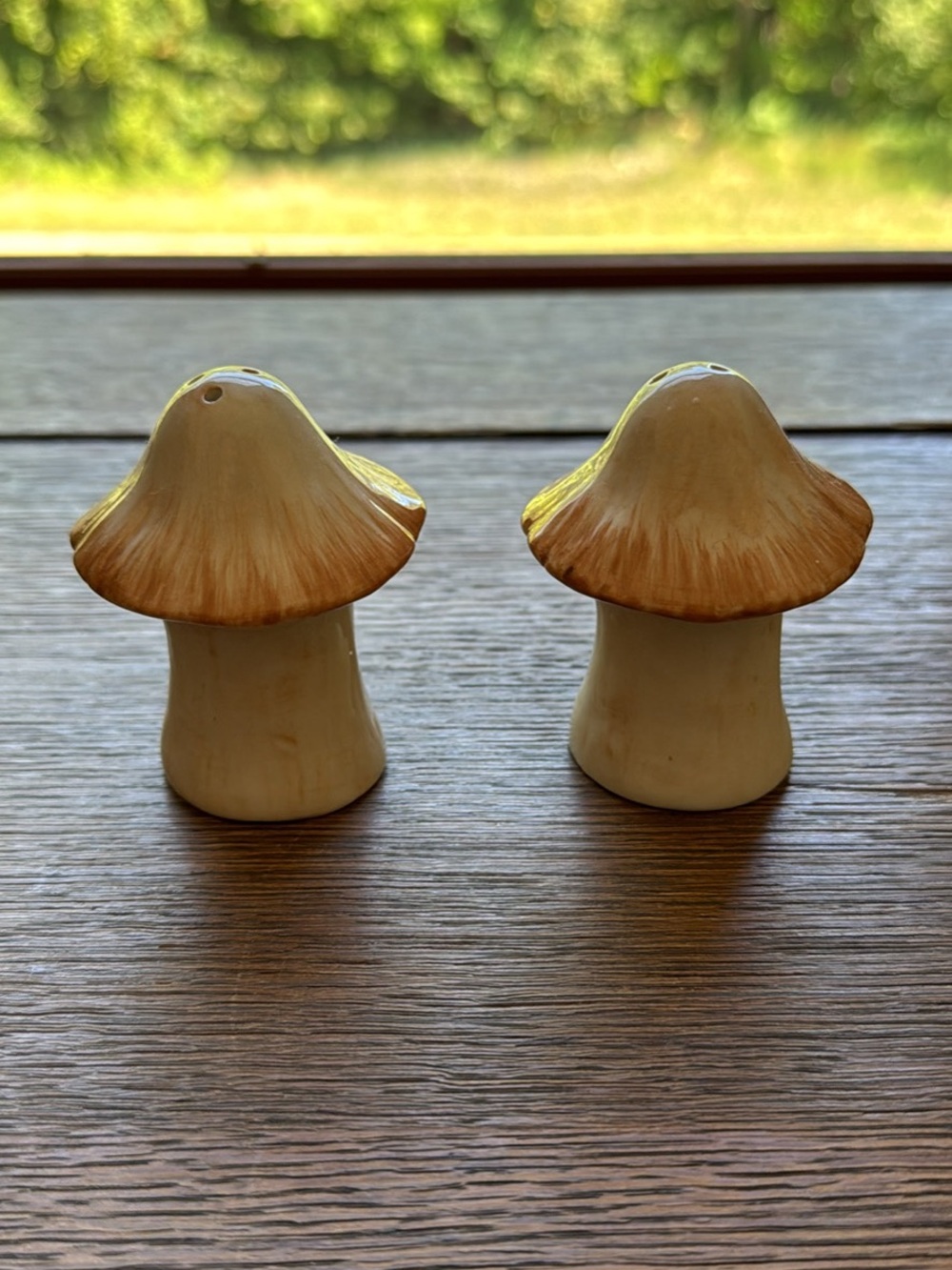 Whimsical Mushroom Salt & Pepper Shakers - Cream and Brown